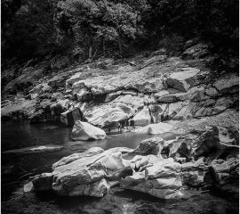 Feather Falls Two 1991